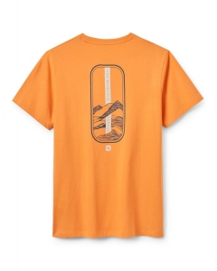 Męska koszulka Stance Strata Tee Rab