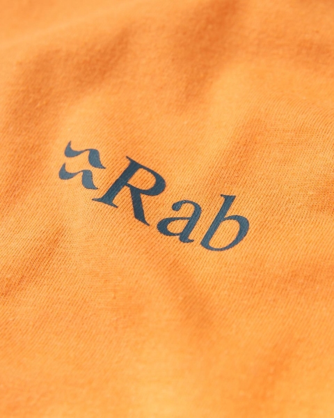 Męska koszulka Stance Strata Tee Rab