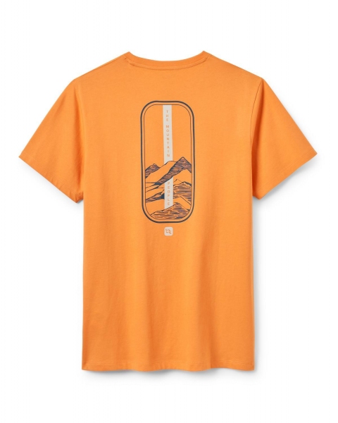 Męska koszulka Stance Strata Tee Rab